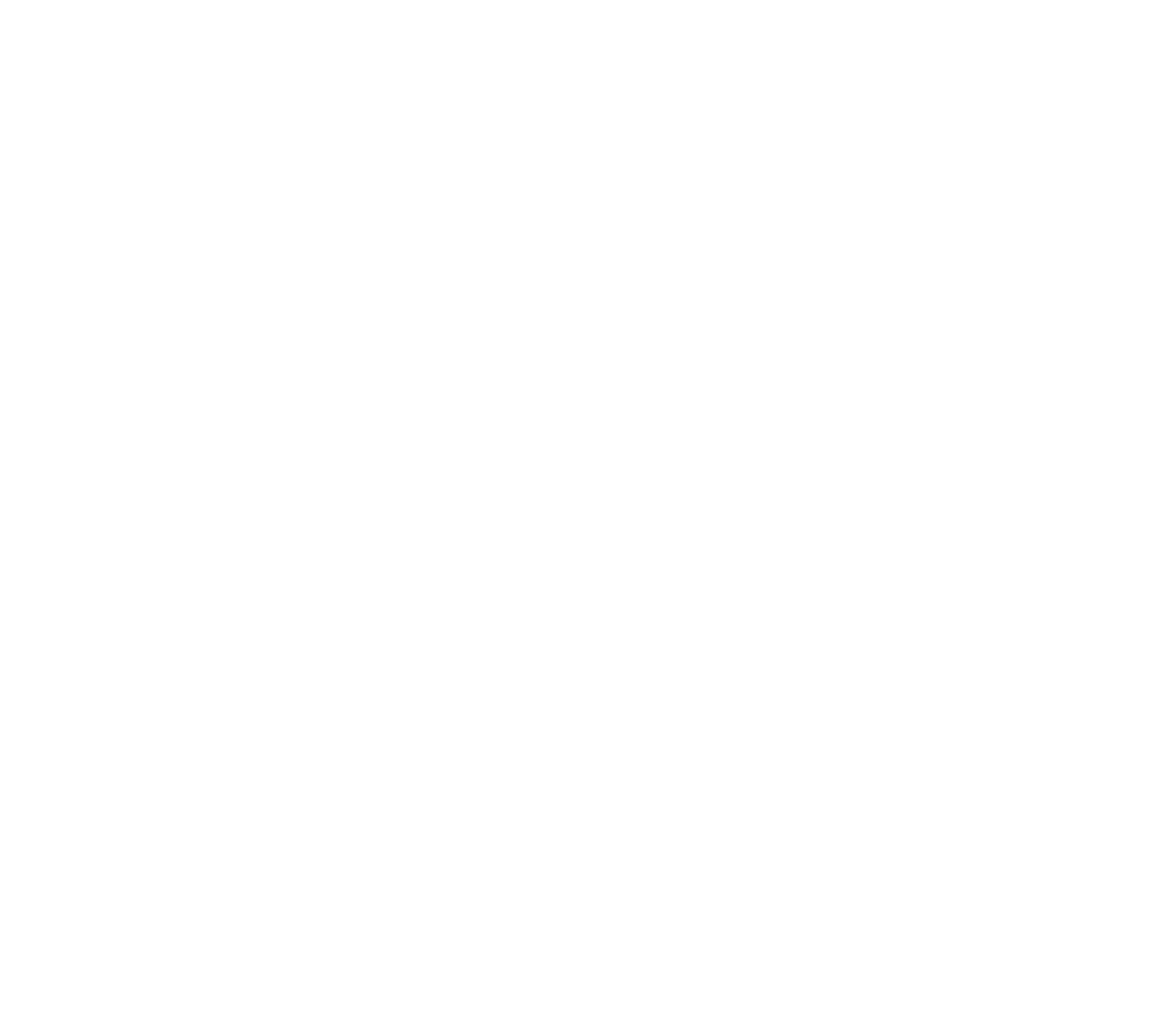 Magic City Skate Birmingham skyline hero logo